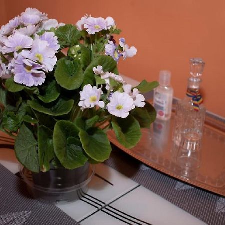 Central Apartment Maria Sibiu Esterno foto